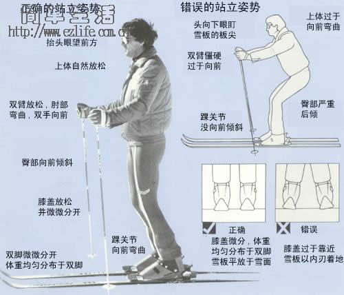 双板滑雪初学者指南