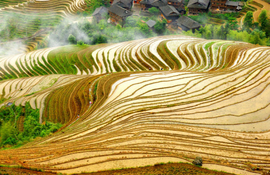 深山里的大地艺术—桂北山水(一)图片