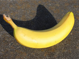 ���㽶�ġ�������״��