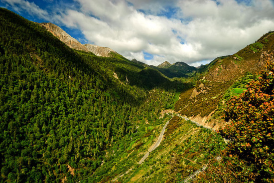 Tibet Tour֮εǶ-ϵ