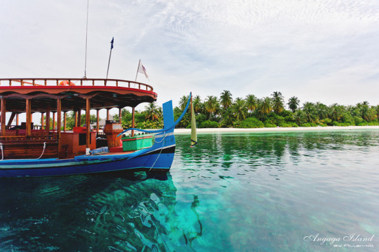 Angaga Island-Ȼ羰